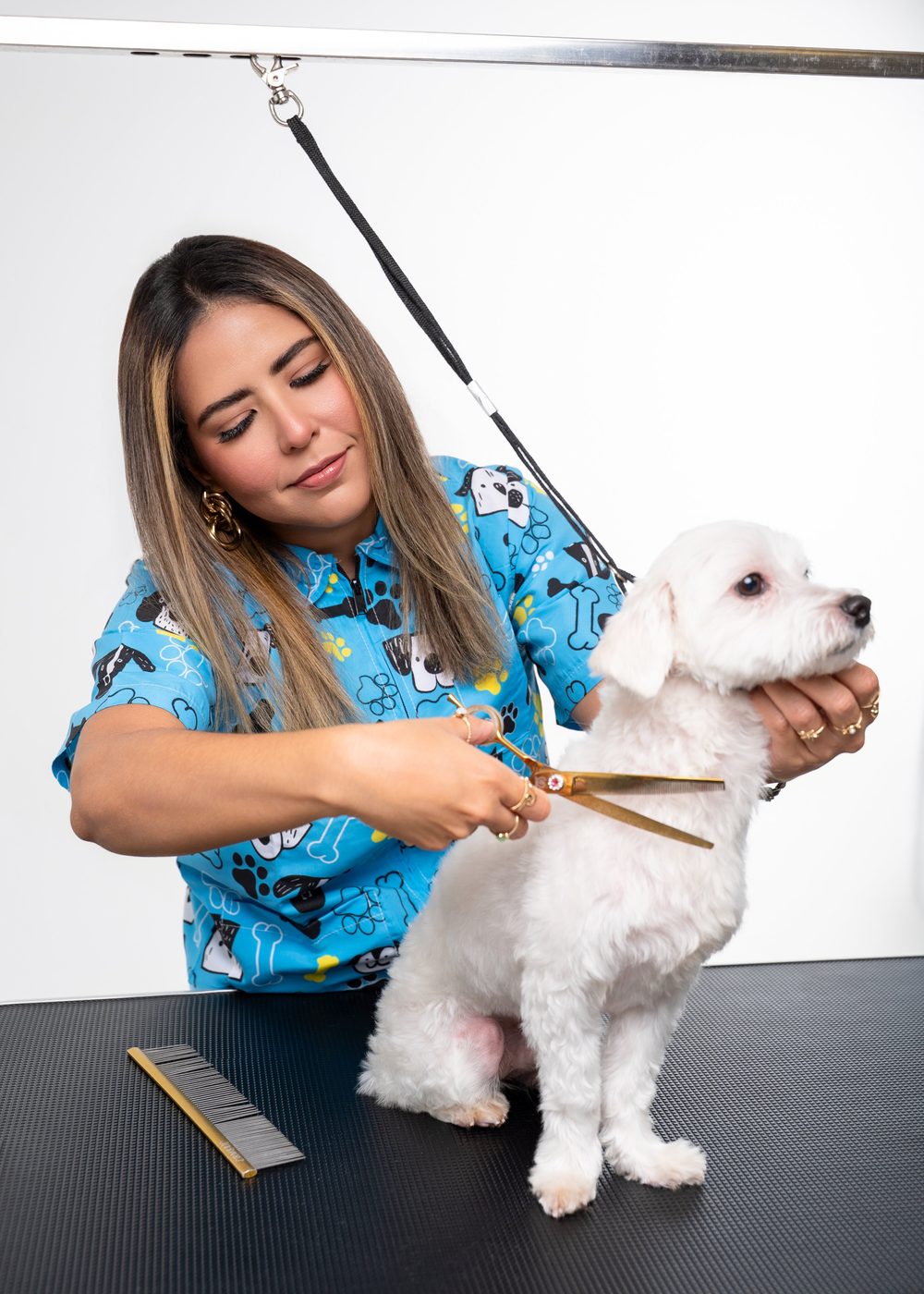 Vanessa finishing a groom with gold shears on Bubbles